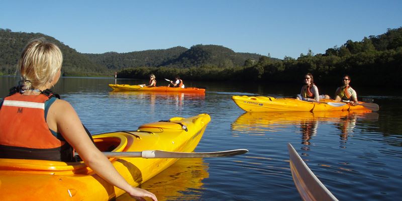 Employees paddling in yellow kayaks during team building activities in Sydney's surroundings 